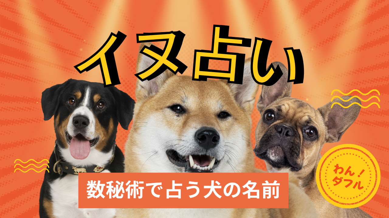 ���s�肢�فu�C�k�肢�v